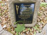 image of grave number 148304